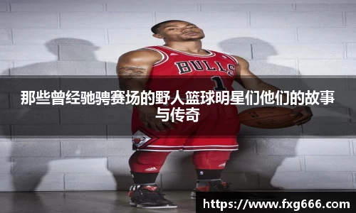 星空体育官方网站
