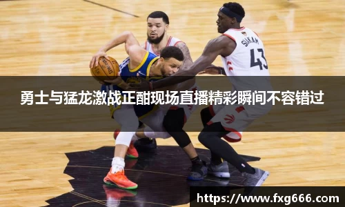 勇士与猛龙激战正酣现场直播精彩瞬间不容错过